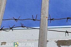 Пензенский заключенный призывал к расправе над людьми других рас