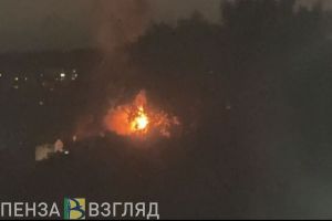 В Пензе сгорел дачный дом