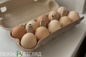 В Пензенской области в продукции нашли антибиотики и сальмонеллу