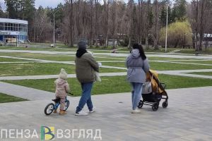 У пензенских семей с детьми может появиться ряд новых льгот