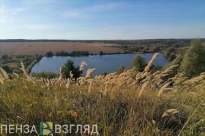 Минус ночью: синоптики сделали прогноз погоды в Пензенской области на 12 октября