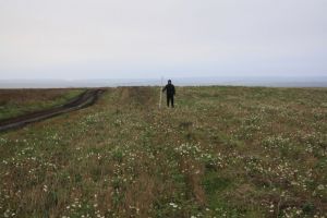 В Земетчинском районе запланированы археологические полевые работы
