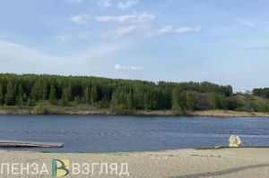 В рамках акции было очищено 5 километров берега Пензенского водохранилища