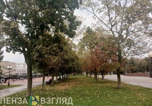 Пензенцев предупредили об усилении ветра до 18 метров в секунду