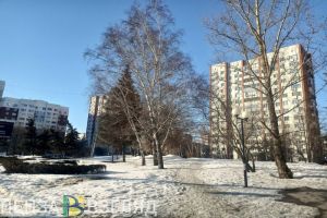 Пензенцы узнали прогноз Вильфанда на предстоящую зиму в России