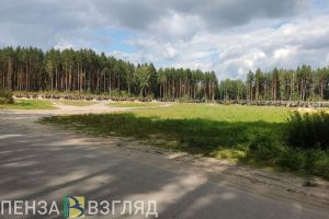За один месяц в Пензенской области умерло на 810 человек больше, чем родилось