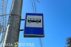 В Пензенской области дадут право бесплатного проезда двум категориям граждан