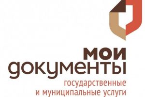 В Пензенской области центры «Мои документы» оказали более 1,1 миллиона услуг