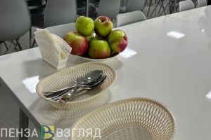 Пензенцам показали цены в столовой Госдумы