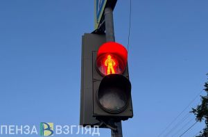 Назван срок установки светофора на улице Генерала Глазунова, где сбили пензячку