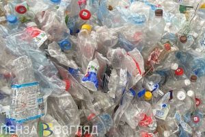 Глава пензенской Думы Соболев раскритиковал работу по вывозу мусора из пластика