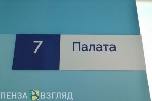 За неделю в Пензенской области выявлено 214 случаев ковида