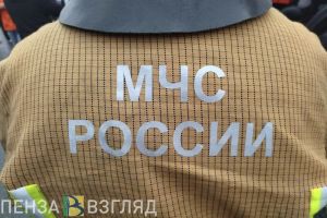 В Пензенской области за прошедшие сутки пожарные потушили 6 возгораний