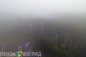 Жителей Пензенской области предупреждают о тумане 17 октября