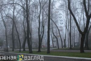 Мокрый снег и -1 градус: опубликован прогноз для Пензы и области на 17 октября