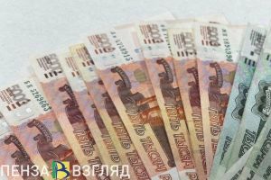 На соцконтракты жителей Пензы и области в 2024 году направлено 537,5 млн. рублей