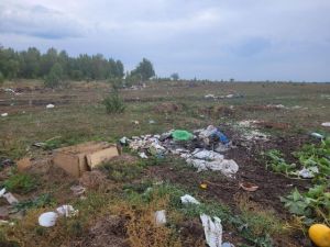 В Пензенской области выявили несанкционированную свалку площадью 96,9 тыс. кв. м