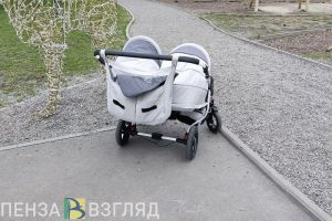 Пензенцев могут начать штрафовать за призывы к бездетности
