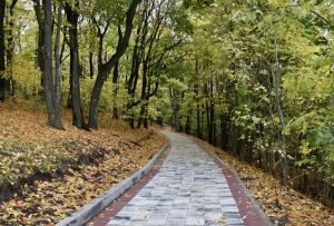 Тропа здоровья в Пензе будет закрыта до мая 2025 года
