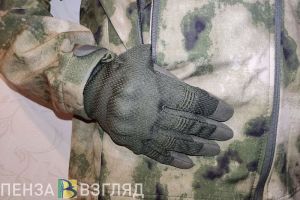 С 1 ноября пензенцы смогут получить справку об участии в СВО через «Госуслуги»