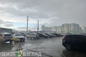 19 октября в Пензенской области ожидается снег, дождь и ветер