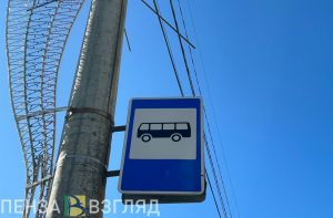 В Пензе завершился дачный сезон