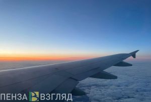 Авиарейс из Москвы в Пензу задержали из-за стружки в масле
