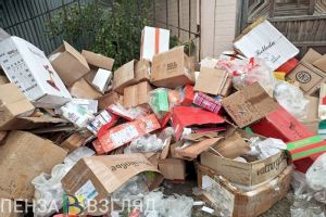 Администрацию Сурска обязали выплатить 2,27 млн рублей за ущерб почвам