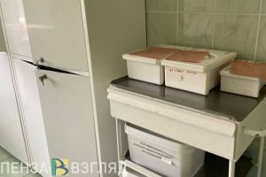 5-летняя сердобчанка осталась с обезображенным лицом после нападения собаки