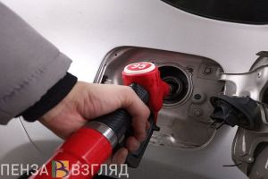 Цена литра бензина, нападение собаки на ребенка, отключение холодной воды – новости Пензы и области за 23 октября