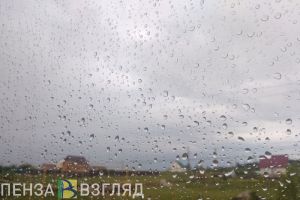 Пензенцев предупреждают о сильных порывах ветра и дожде 24 октября