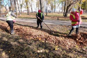В Управлении ЖКХ Пензы ответили, когда уберут спиленные ветки на ул. Кижеватова