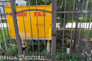 Пензенцам пояснили, как бесплатно довести газ до участка в садовом товариществе