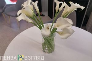В Пензенской области женщине вернули деньги за несостоявшийся заезд в отель