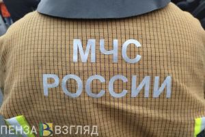 В Пензе в результате пожара сгорел дачный дом