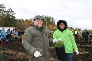 В ходе акции «Сохраним лес» в Пензенской области высадят 64 тысячи деревьев