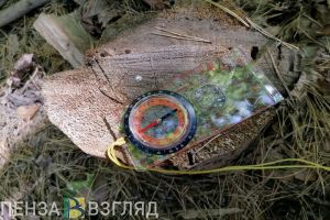 Найдена пропавшая девочка-подросток из Пензенской области