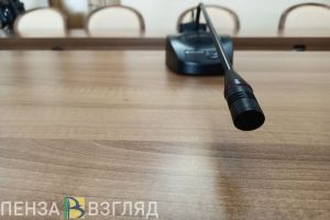 Елена Егорова назначена начальником Социального управления Пензы
