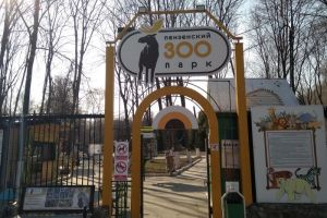 В Пензенском зоопарке родилось краснокнижное животное