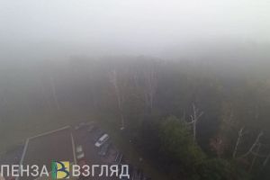 В ближайшие 3 часа на Пензенскую область опустится туман