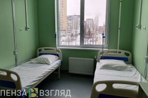 В Пензенском районе водитель «Лады» попал в больницу после столкновения с фурой