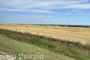 Труженикам сел в Пензенской области могут снизить пенсионный возраст