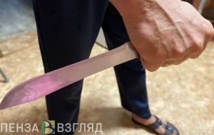 Гость жительницы Иссинского района хотел зарезать ее дочь