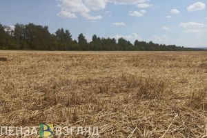 В Пачелмском районе обрабатывали поля с нарушениями