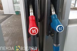 Рост цен на бензин, подвоз технической воды, обработка полей пестицидами вблизи жилых домов — новости Пензы и области за 30 октября