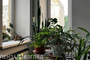В Пензе 102 семьи получили социальную выплату на покупку или строительство жилья