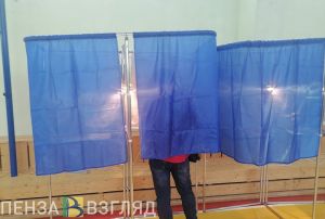 30 ноября и 1 декабря в районах Пензенской области пройдут выборы