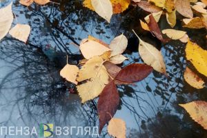 На смену снегу в Пензенскую область придут дожди и грозы