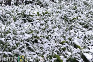 В Пензе пошел первый снег
