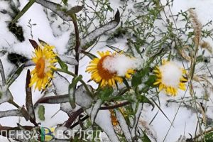 На выходных пензенцев ждет снег и холод из-за арктического воздуха